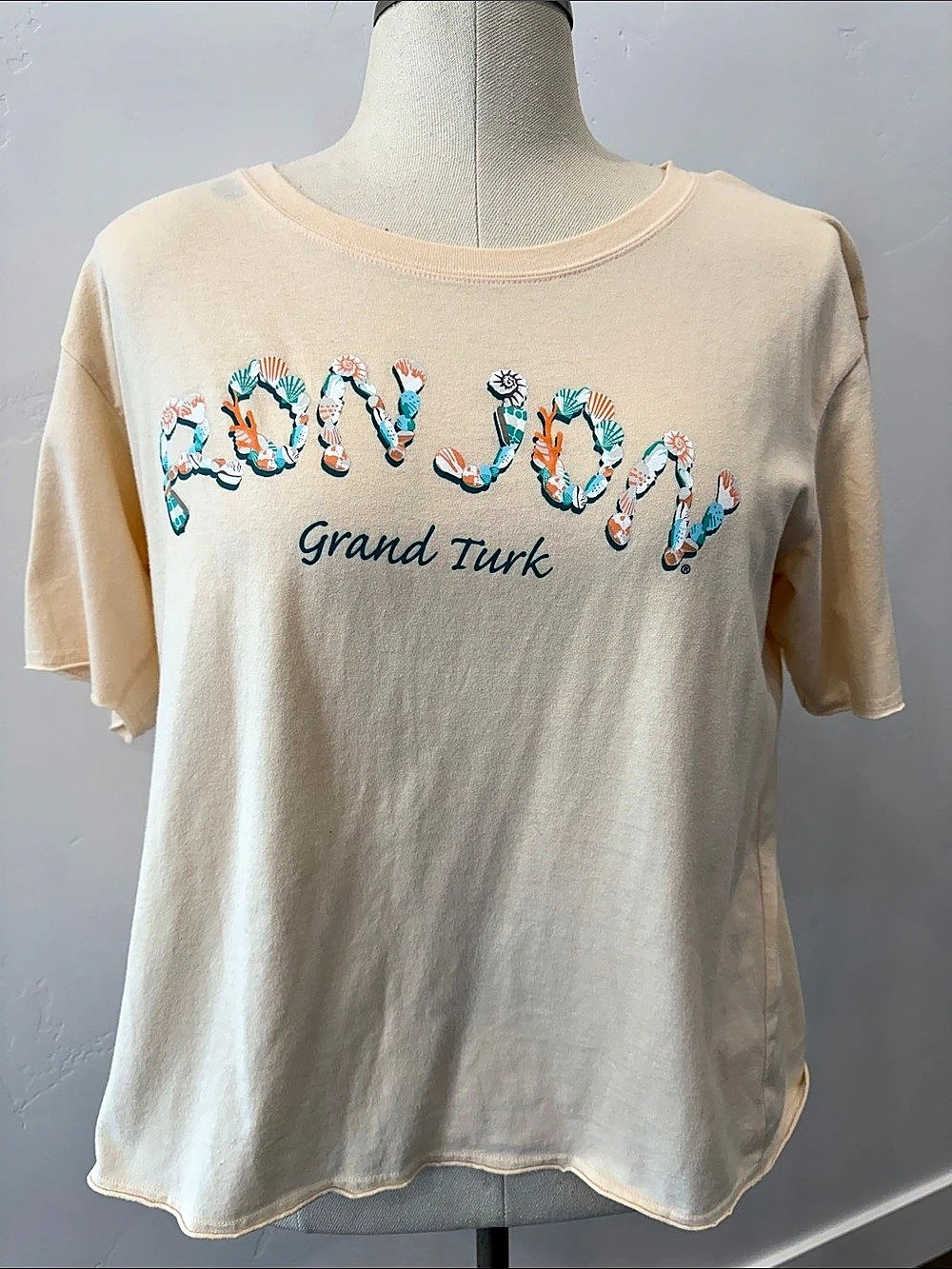 Ron Jon Surf Shop Grand Turk Graphic Tee in Cream